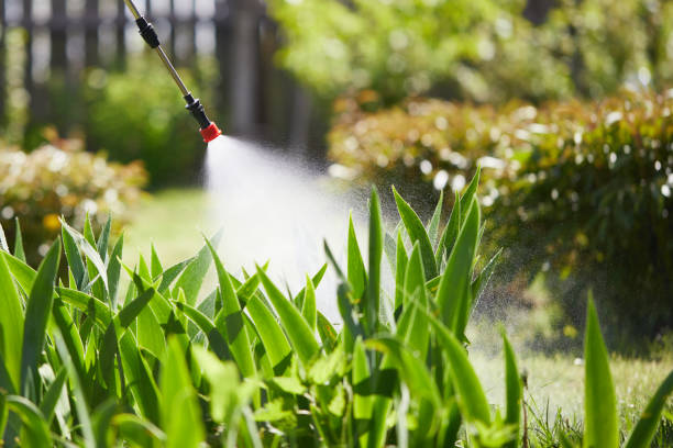 24/7 Emergency Wasp Removal experts in Garden City, KS